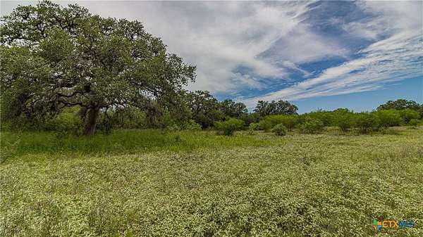 48.4 Acres of Land for Sale in Beeville, Texas
