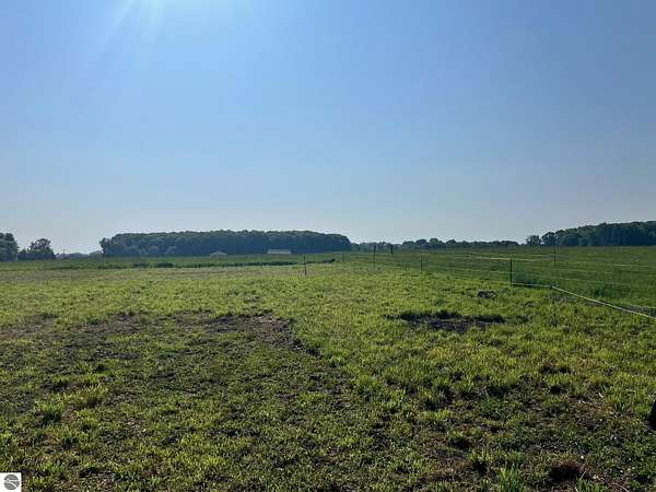 21.3 Acres of Agricultural Land for Sale in Brethren, Michigan