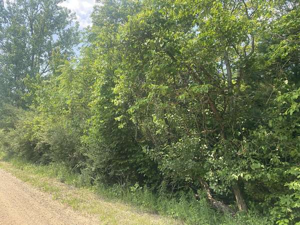 5 Acres of Residential Land for Sale in Grand Junction, Michigan