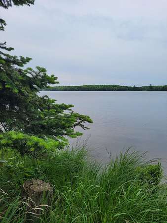 11.5 Acres of Land for Sale in Winchester, Wisconsin