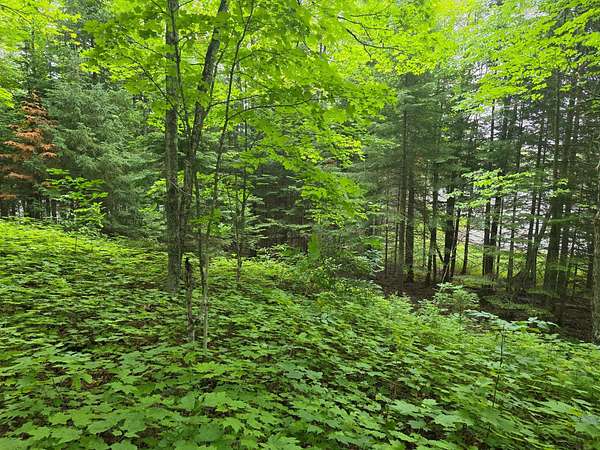 1.66 Acres of Land for Sale in Paulding, Michigan