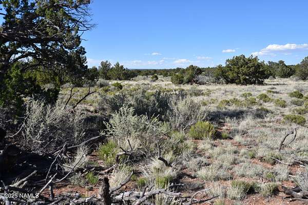 1 Acre of Residential Land for Sale in Williams, Arizona