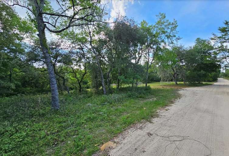 0.97 Acres of Residential Land for Sale in Ocklawaha, Florida