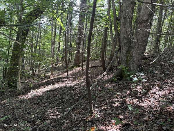 0.86 Acres of Land for Sale in Cosby, Tennessee