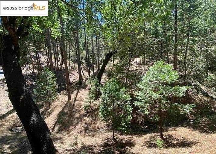 1.27 Acres of Residential Land for Sale in Groveland, California