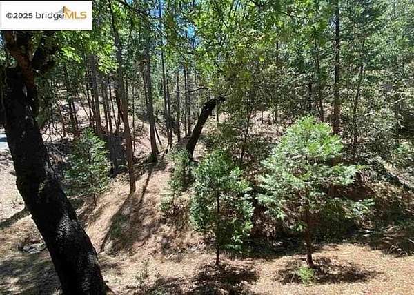 1.27 Acres of Residential Land for Sale in Groveland, California