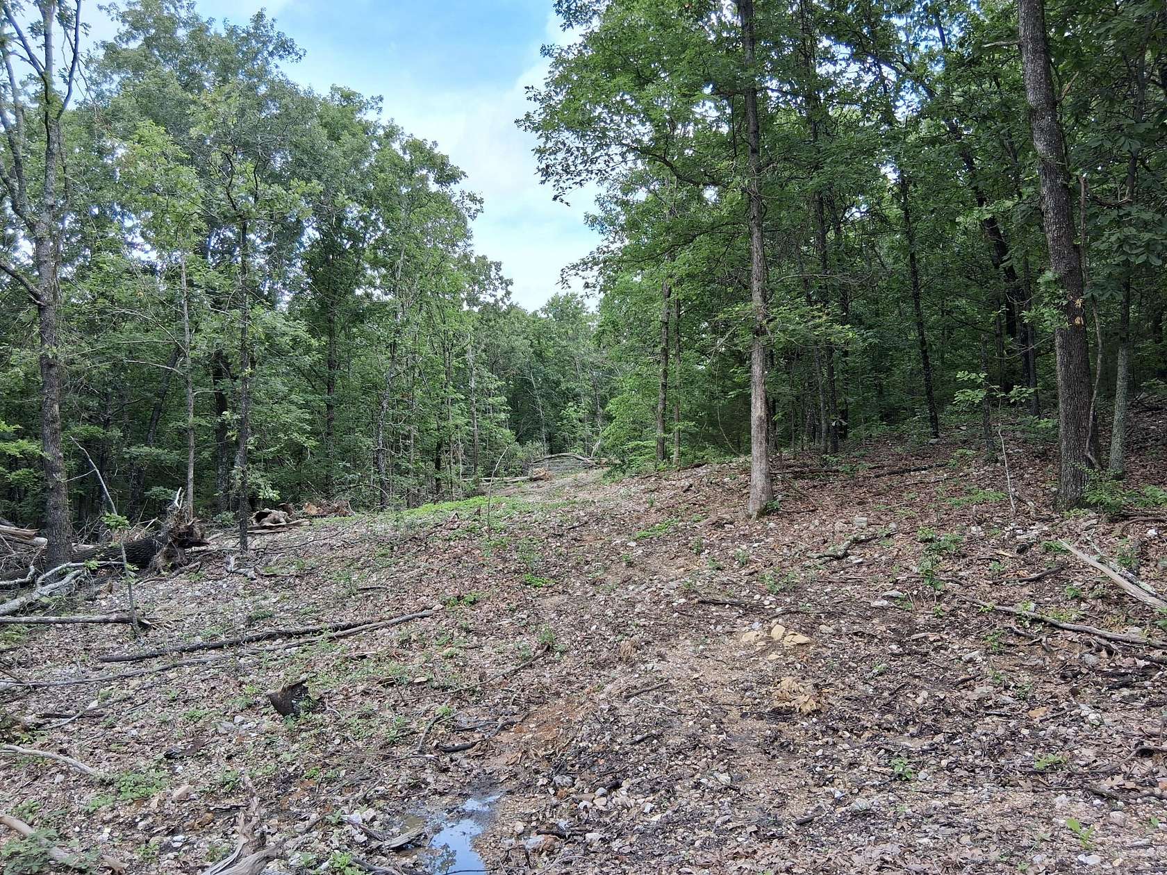 10 Acres of Recreational Land for Sale in Dora, Missouri