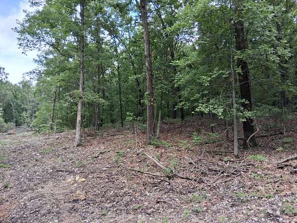 10 Acres of Recreational Land for Sale in Dora, Missouri