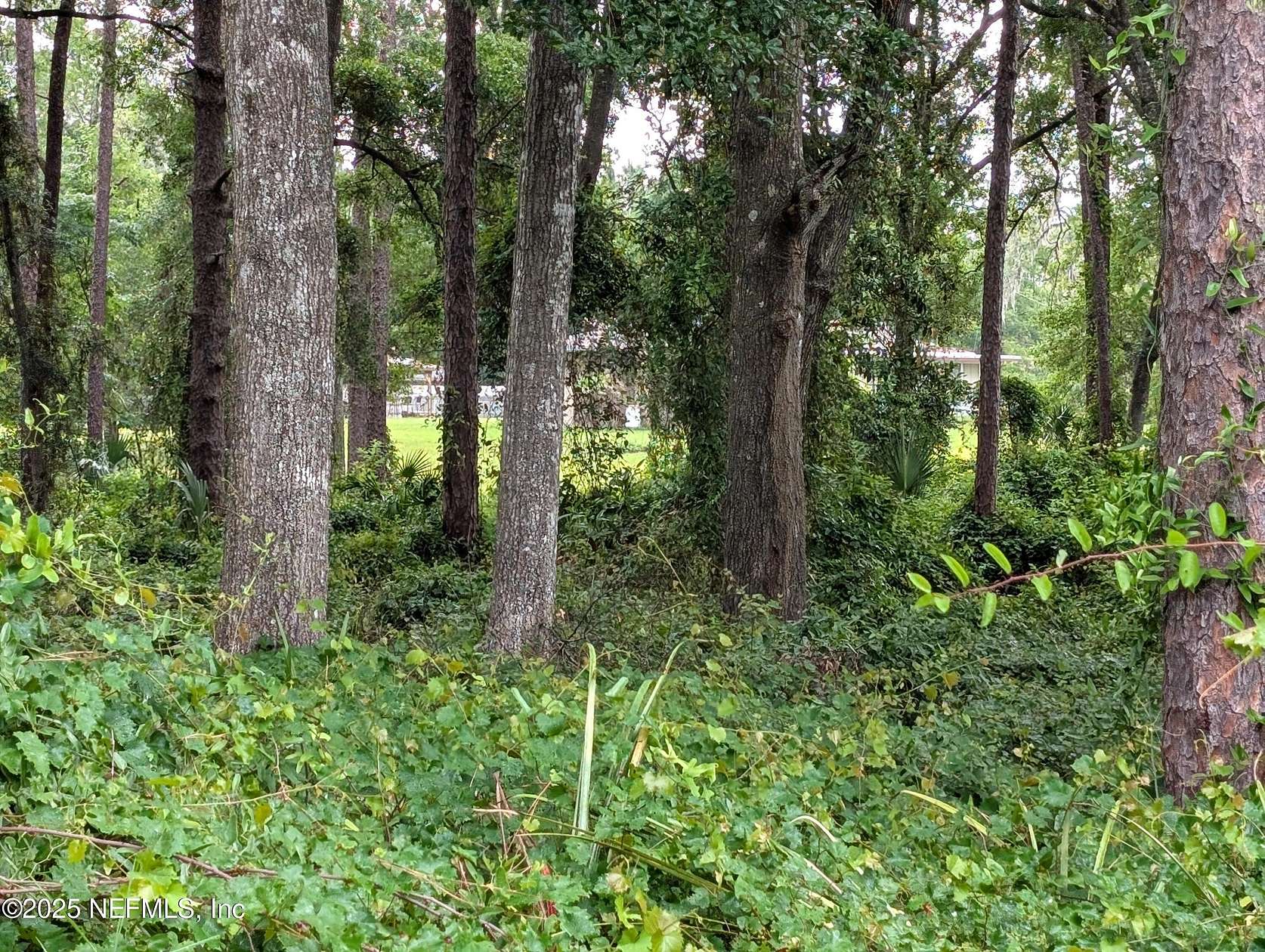 1.2 Acres of Residential Land for Sale in Keystone Heights, Florida