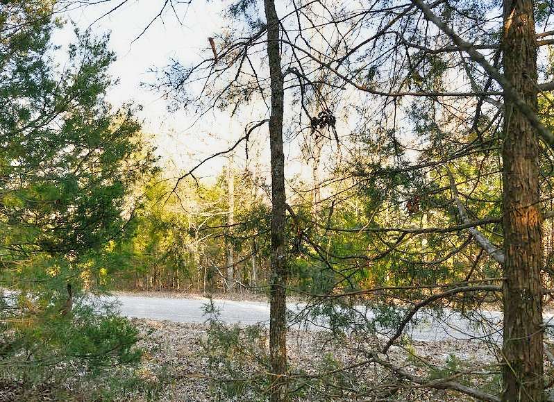 0.27 Acres of Residential Land for Sale in Horseshoe Bend, Arkansas
