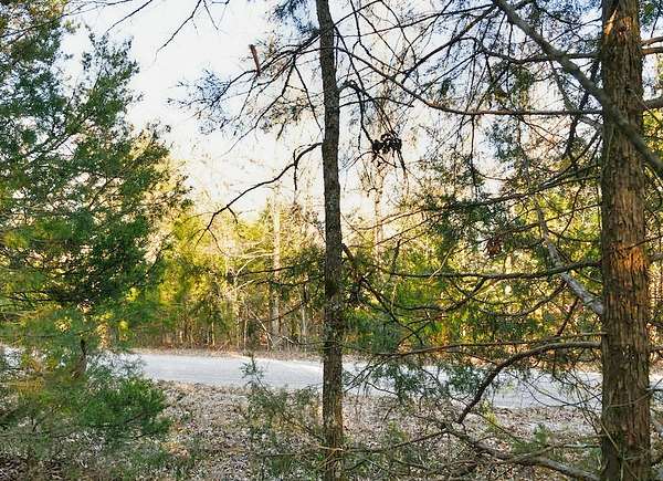 0.27 Acres of Residential Land for Sale in Horseshoe Bend, Arkansas