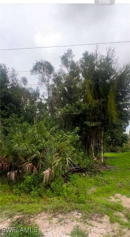 0.26 Acres of Land for Sale in Lehigh Acres, Florida