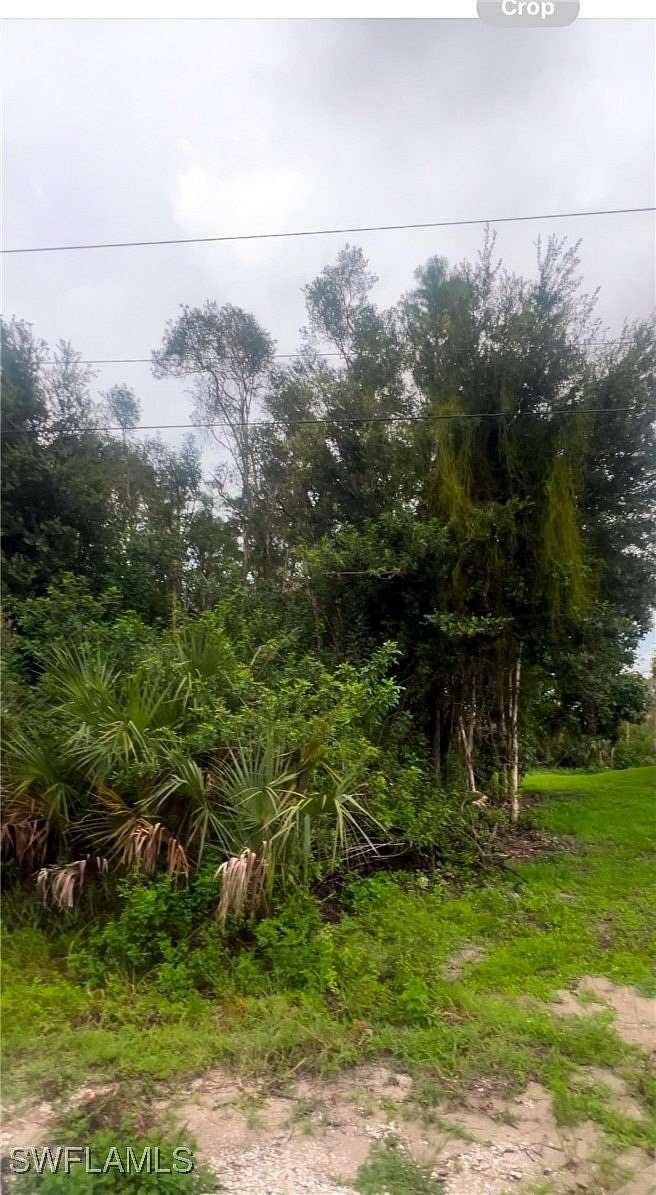 0.26 Acres of Residential Land for Sale in Lehigh Acres, Florida