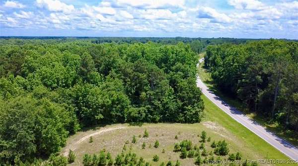 38.8 Acres of Recreational Land for Sale in Fairmont, North Carolina