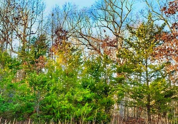 0.41 Acres of Residential Land for Sale in Horseshoe Bend, Arkansas