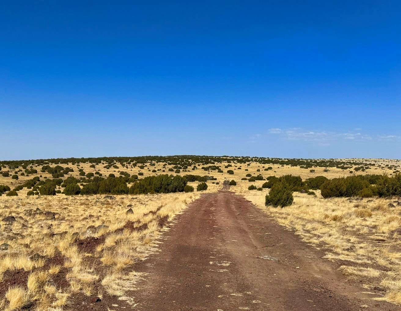 1 Acre of Residential Land for Sale in Concho, Arizona