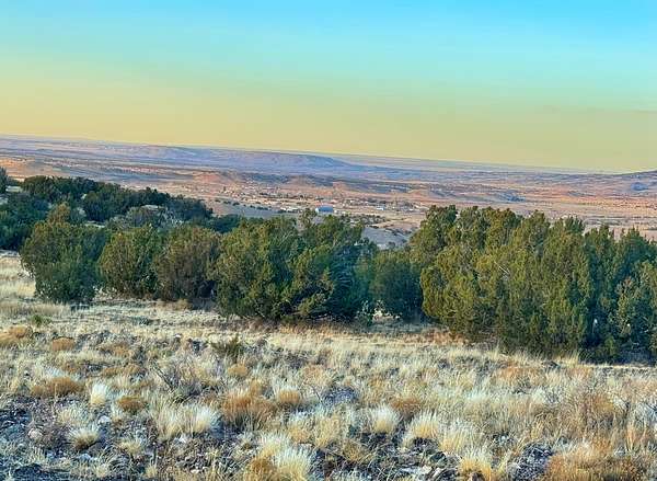 0.37 Acres of Land for Sale in Concho, Arizona