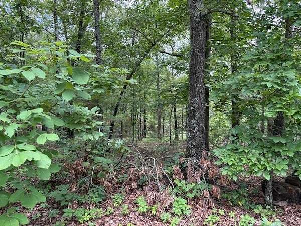 10 Acres of Residential Land for Sale in Highland, Arkansas