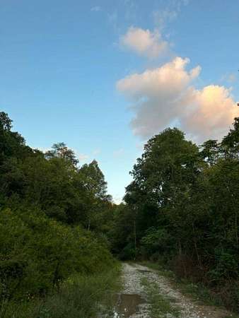 89 Acres of Recreational Land for Sale in Louisa, Kentucky