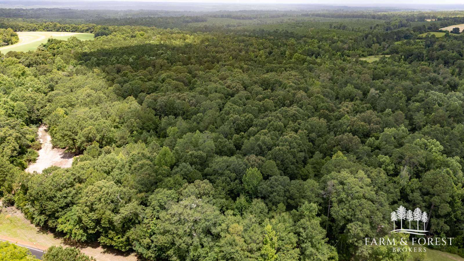 28.5 Acres of Recreational Land for Sale in Jack, Alabama