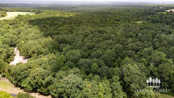 28.5 Acres of Recreational Land for Sale in Jack, Alabama