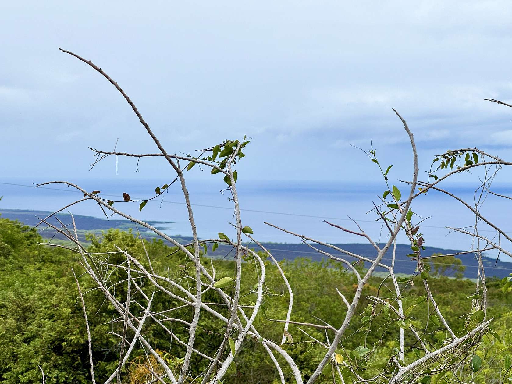 16 Acres of Agricultural Land for Sale in Captain Cook, Hawaii