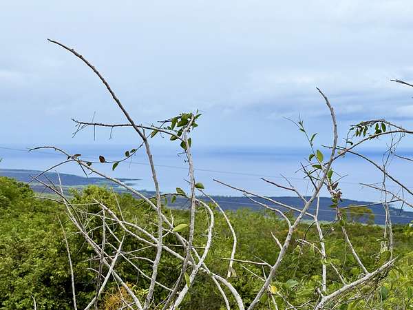 16 Acres of Agricultural Land for Sale in Captain Cook, Hawaii