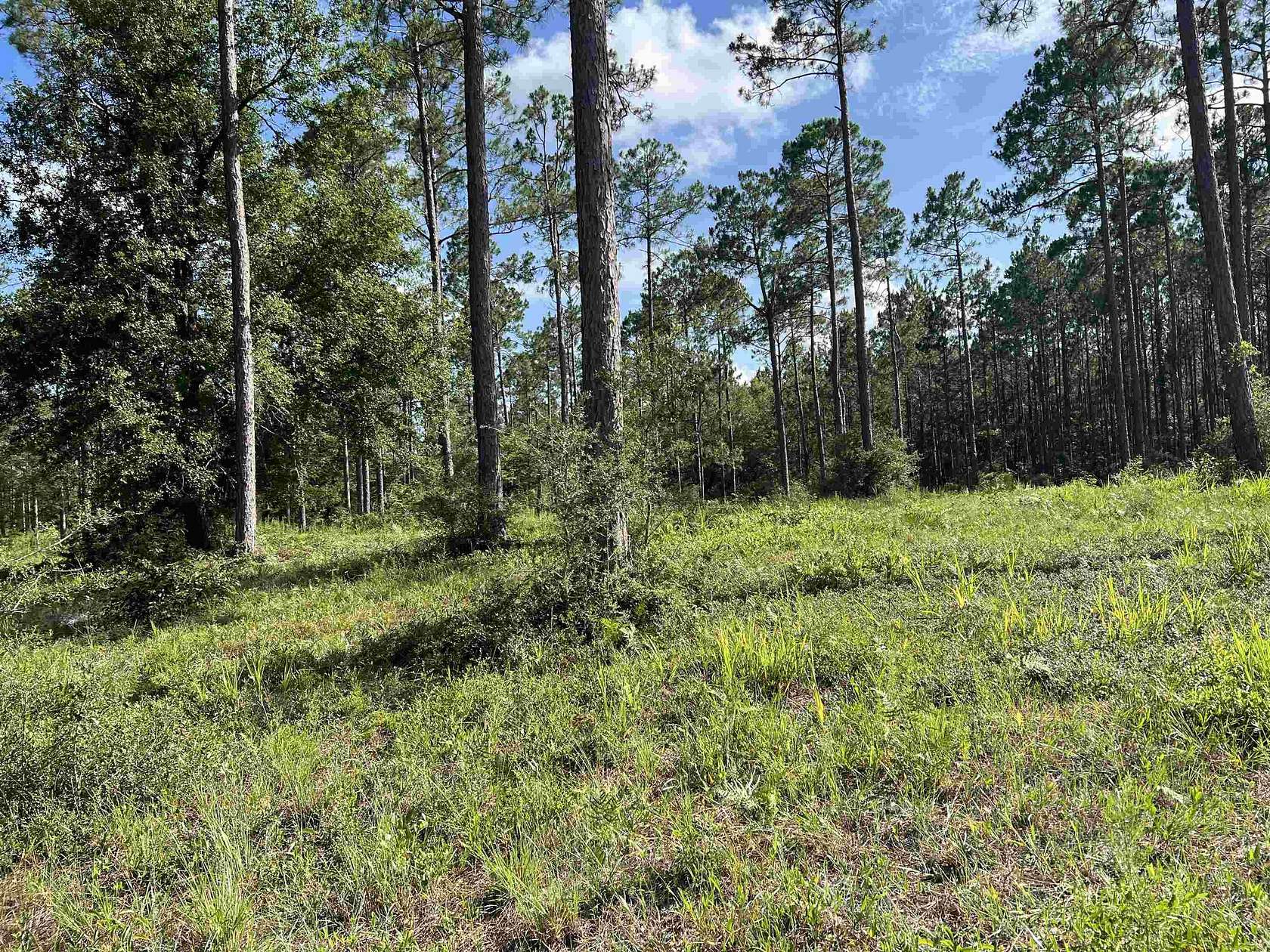 8 Acres of Agricultural Land for Sale in Tallahassee, Florida