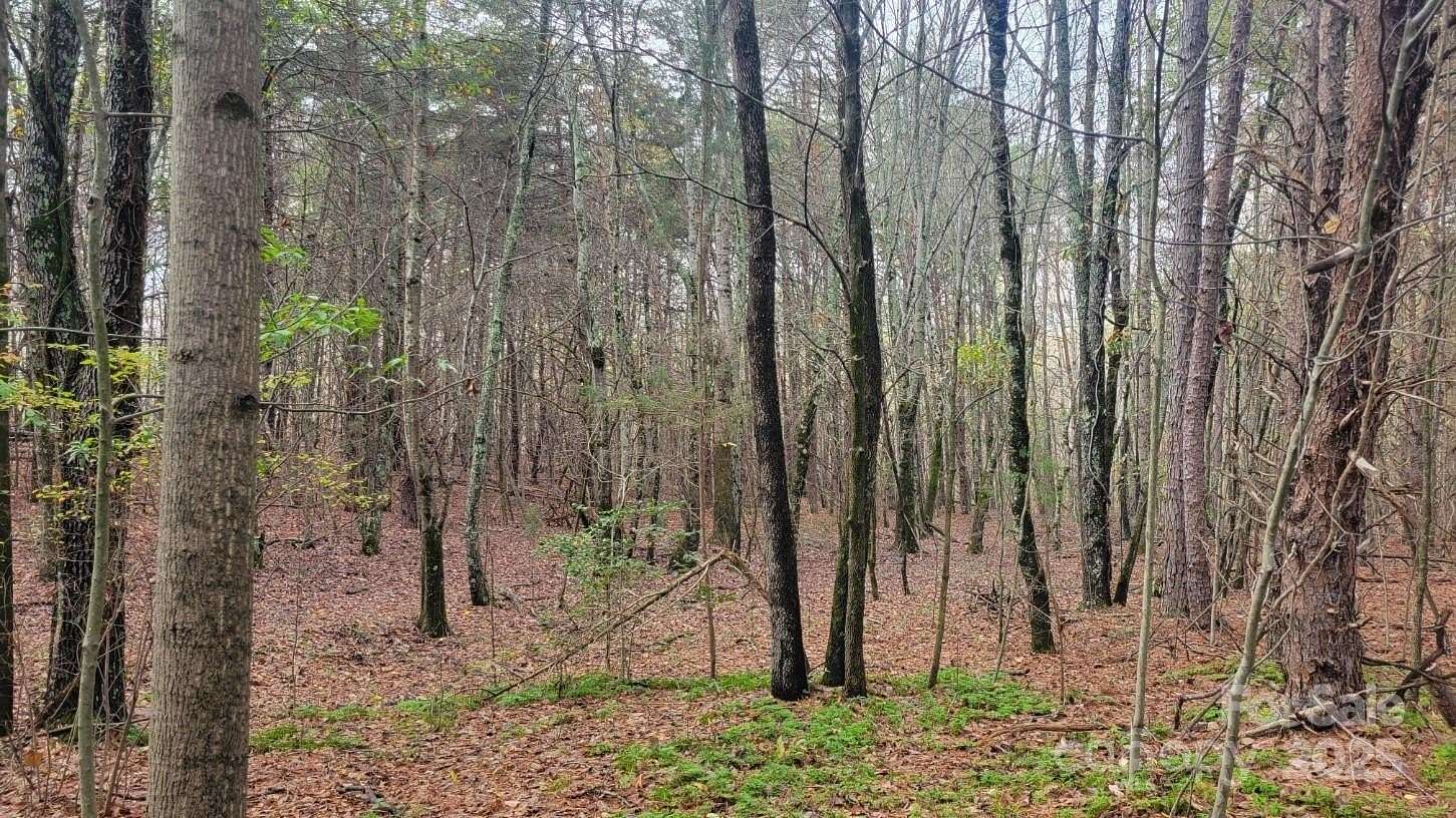22.1 Acres of Land for Sale in Lincolnton, North Carolina