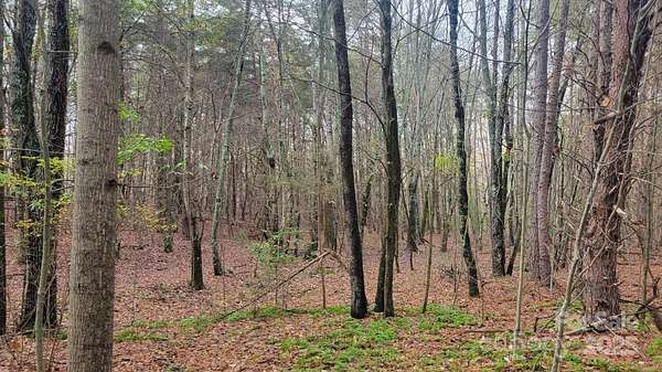 22.1 Acres of Land for Sale in Lincolnton, North Carolina