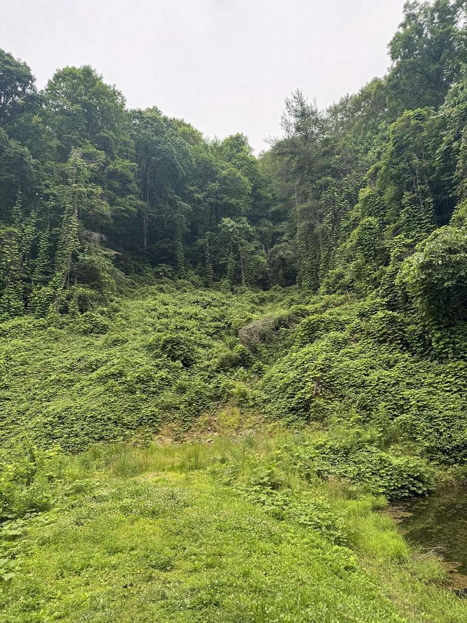 133 Acres of Recreational Land for Sale in Jackson, Kentucky