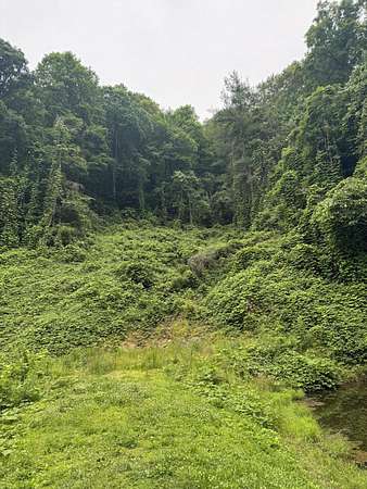 133 Acres of Recreational Land for Sale in Jackson, Kentucky