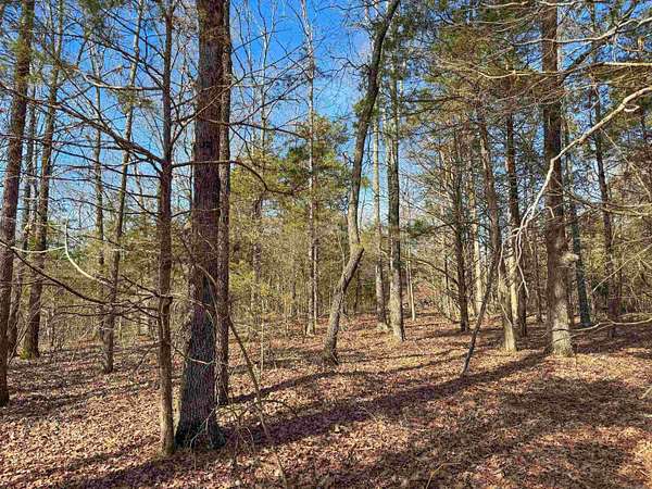 10 Acres of Residential Land for Sale in Quitman, Arkansas