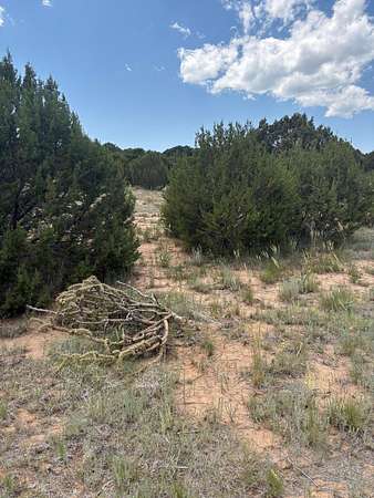 5 Acres of Land for Sale in Tajique, New Mexico