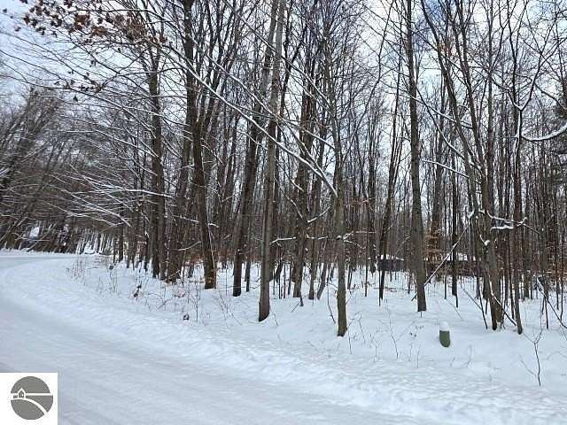 0.4 Acres of Land for Sale in Bellaire, Michigan