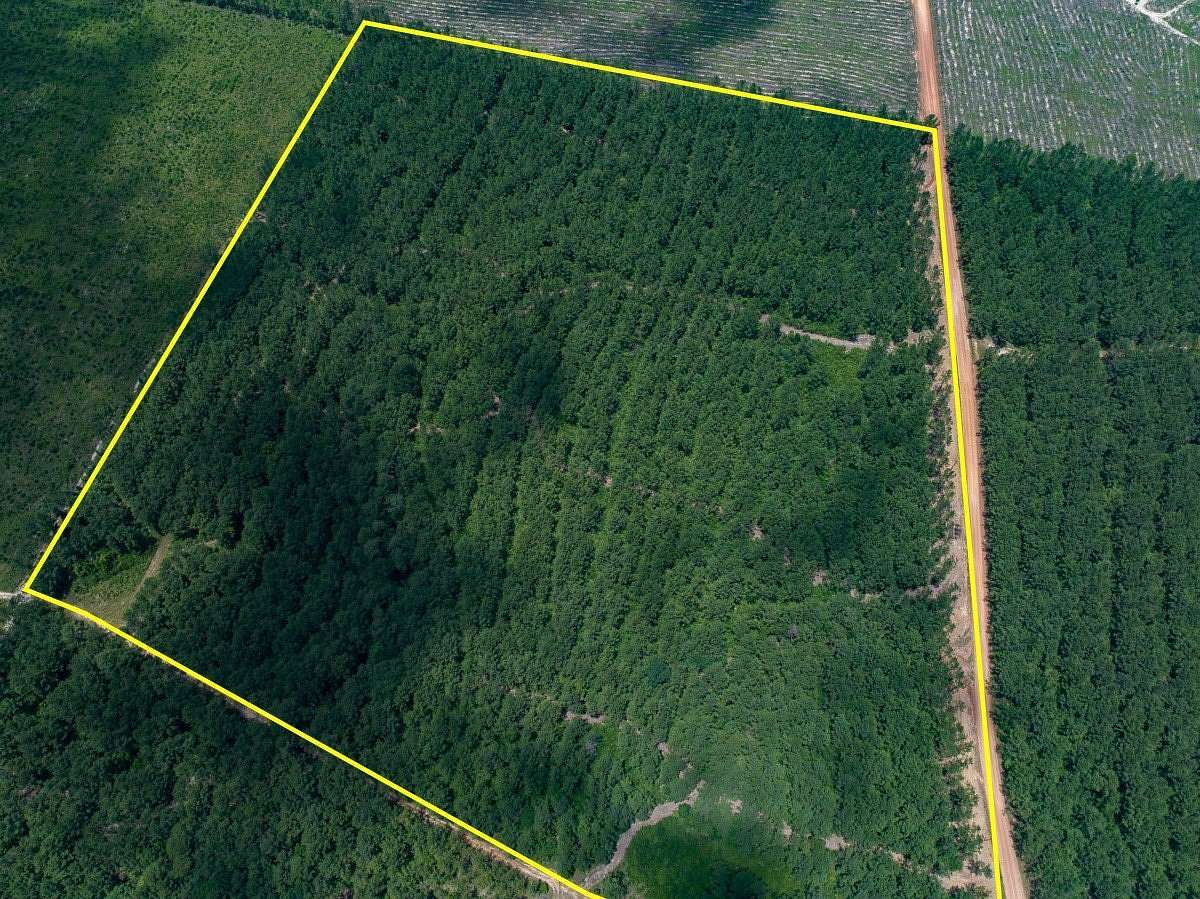 10.5 Acres of Recreational Land for Sale in Livingston, Texas