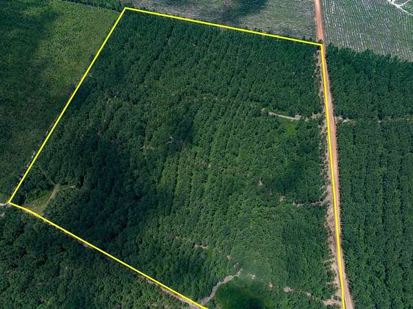 10.5 Acres of Recreational Land for Sale in Livingston, Texas