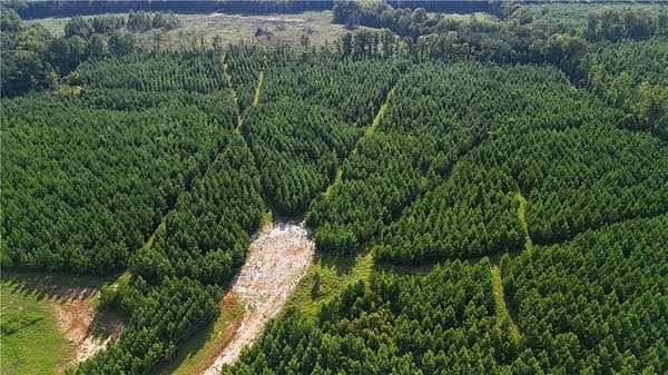 49 Acres of Land for Sale in Dadeville, Alabama