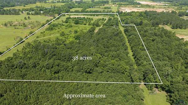 38 Acres of Land for Sale in Henderson, Texas