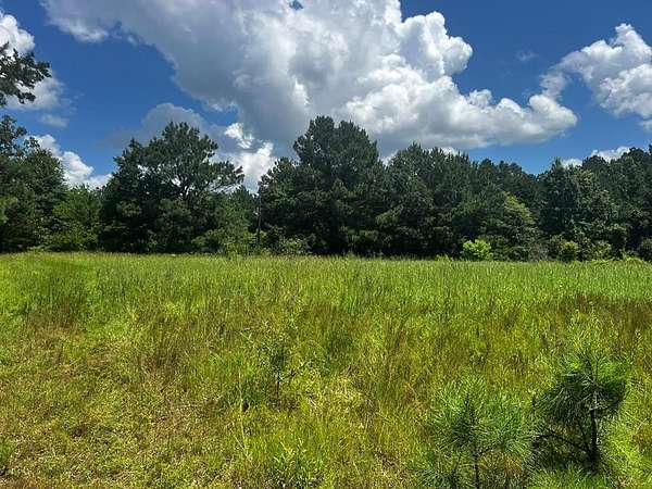 64 Acres of Land for Sale in Pollok, Texas