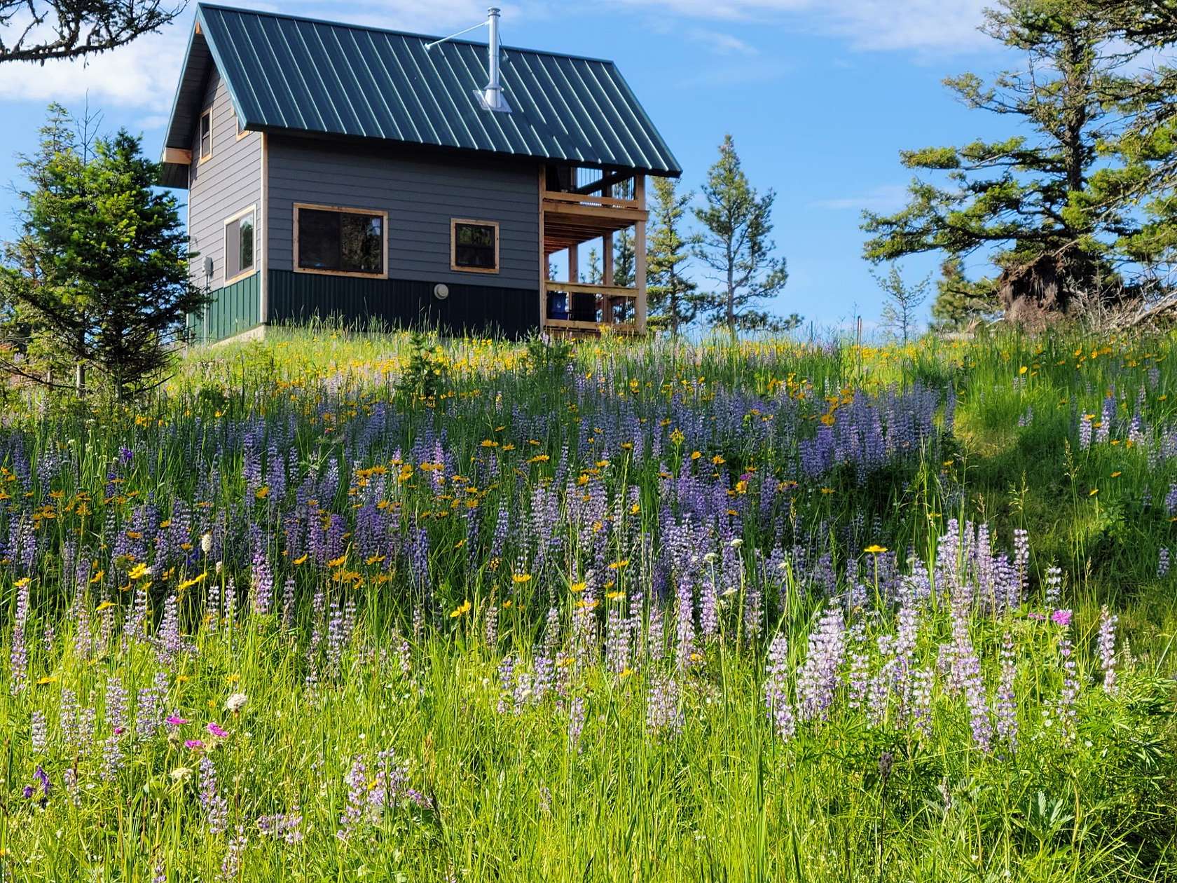 40 Acres of Recreational Land with Home for Sale in Cascade, Montana