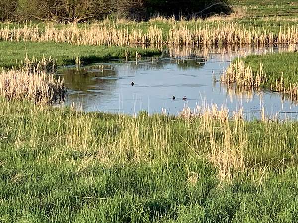 166 Acres of Improved Land for Sale in Hall, Montana