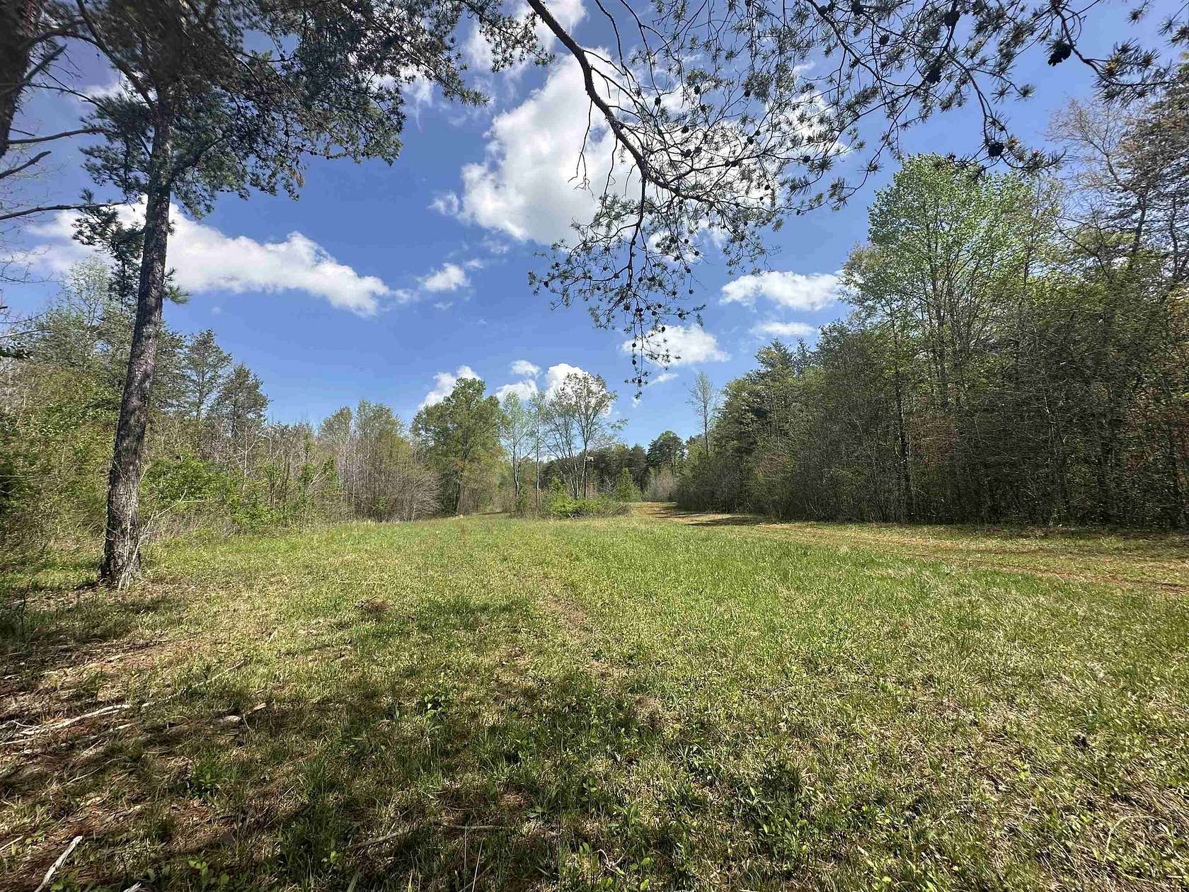 52 Acres of Recreational Land & Farm for Sale in Chesnee, South Carolina