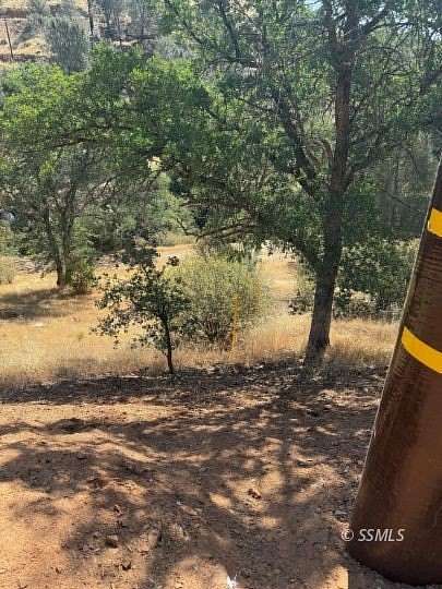 1 Acre of Residential Land for Sale in Wofford Heights, California