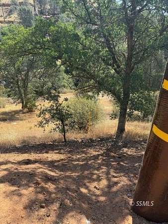 1 Acre of Residential Land for Sale in Wofford Heights, California