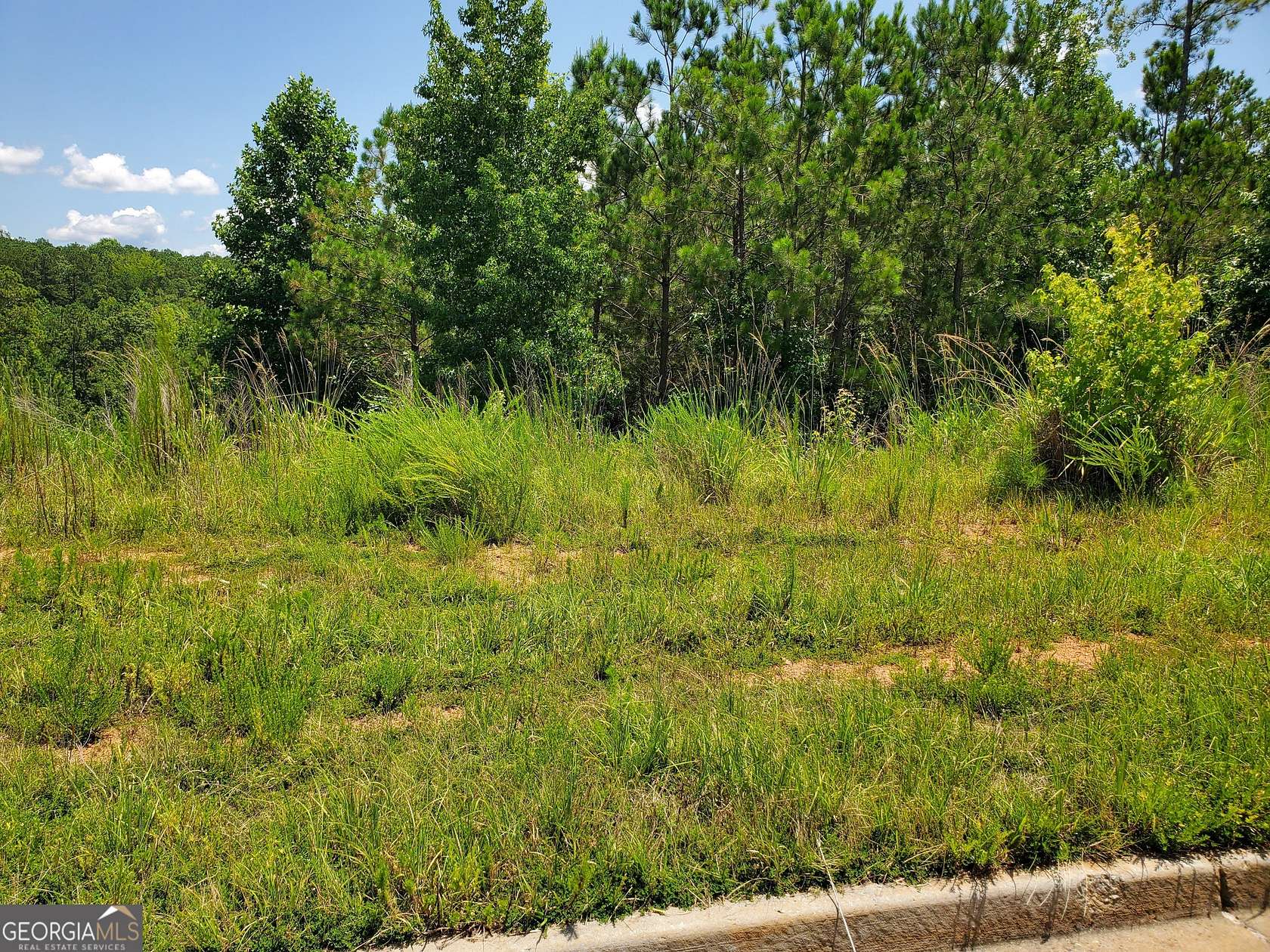 1.29 Acres of Residential Land for Sale in Newnan, Georgia