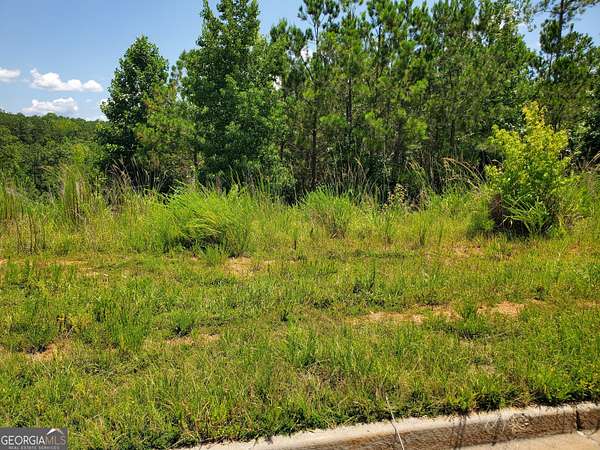 1.29 Acres of Residential Land for Sale in Newnan, Georgia