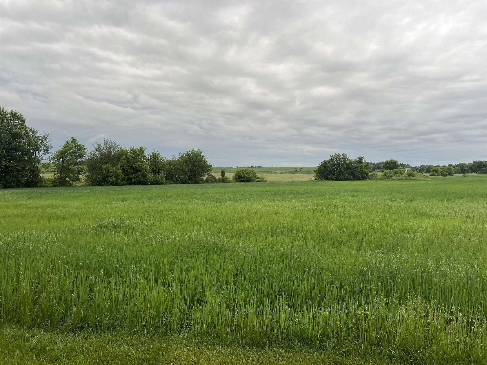 20.4 Acres of Agricultural Land for Sale in Reeseville, Wisconsin