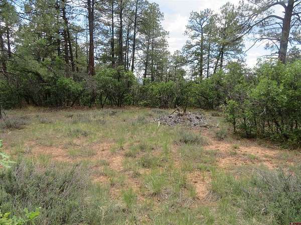 1.15 Acres of Residential Land for Sale in Pagosa Springs, Colorado