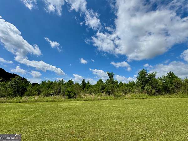 20 Acres of Mixed-Use Land for Sale in Fitzgerald, Georgia